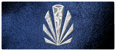 DNSEMP-L-602-SL-SH-BL Silver Sunburst Shimmer Blue